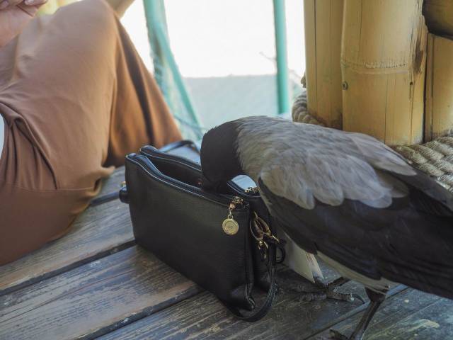 daily picdump 99 pics 32.html - 99 HD Photos | Premium Gallery 2018