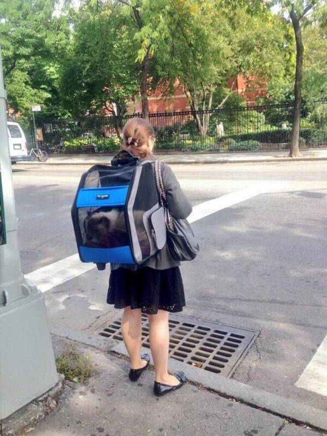 daily picdump 99 pics 32.html - 99 HD Photos | Premium Gallery 2018