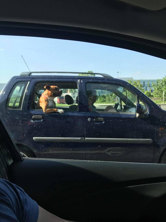 morning picdump 54 pics 12.html - 54 HD Photos | Premium Gallery 2018