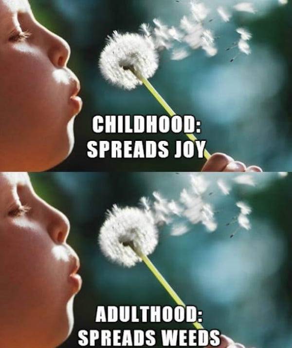 Adult Life Is Nothing Like Kid