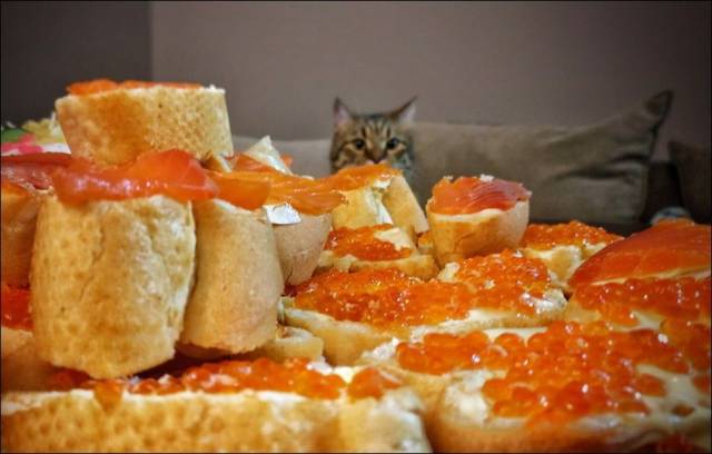 daily picdump 97 pics 41.html - 97 HD Photos | Premium Gallery 2018