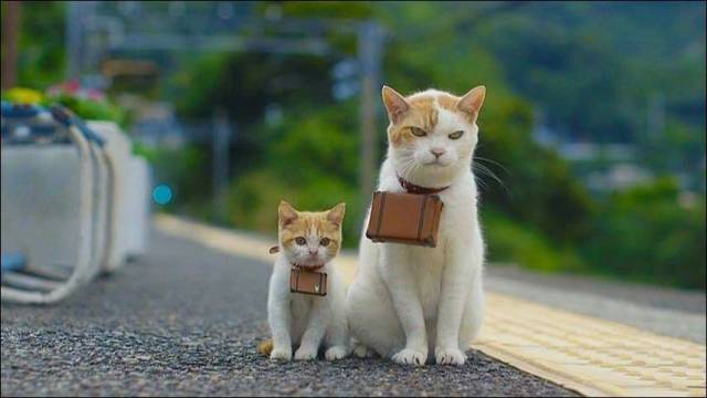 daily picdump 97 pics 41.html - 97 HD Photos | Premium Gallery 2018