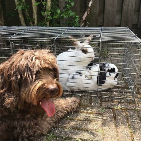 daily picdump 97 pics 41.html - 97 HD Photos | Premium Gallery 2018