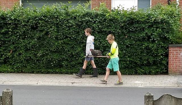 daily picdump 97 pics 41.html - 97 HD Photos | Premium Gallery 2018