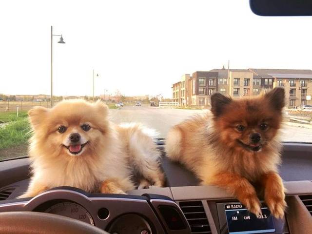 daily picdump 97 pics 41.html - 97 HD Photos | Premium Gallery 2018