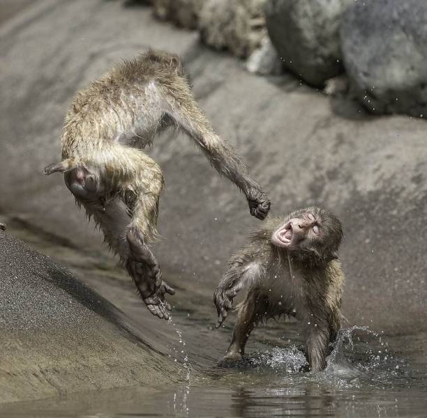 daily picdump 97 pics 41.html - 97 HD Photos | Premium Gallery 2018