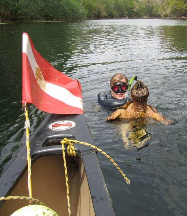 daily picdump 97 pics 41.html - 97 HD Photos | Premium Gallery 2018