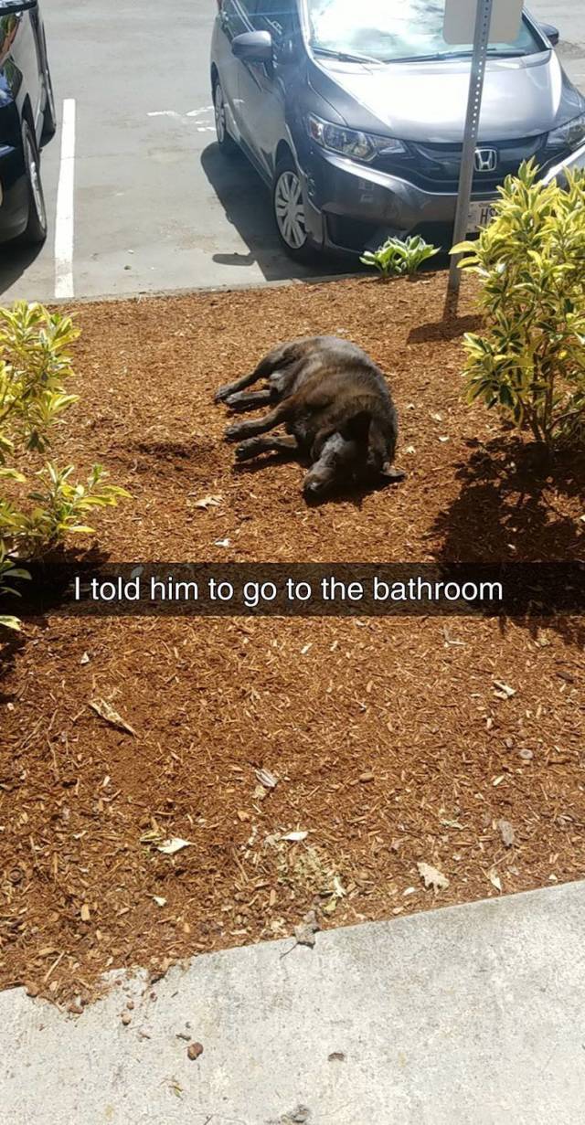 daily picdump 97 pics 41.html - 97 HD Photos | Premium Gallery 2018