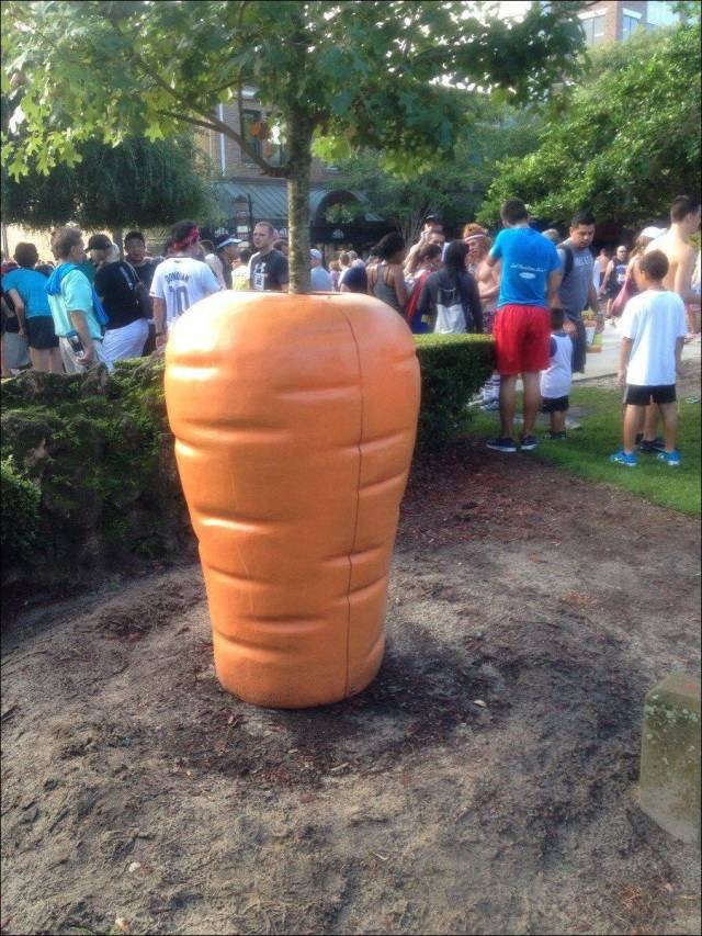 daily picdump 97 pics 41.html - 97 HD Photos | Premium Gallery 2018