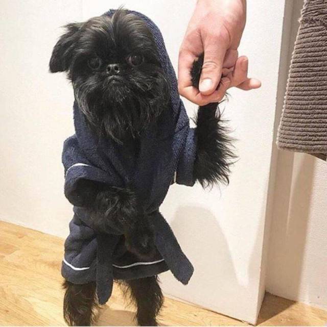 daily picdump 97 pics 41.html - 97 HD Photos | Premium Gallery 2018