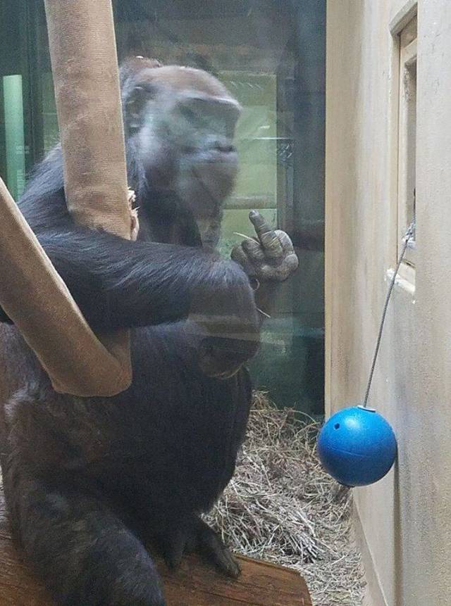 daily picdump 97 pics 41.html - 97 HD Photos | Premium Gallery 2018