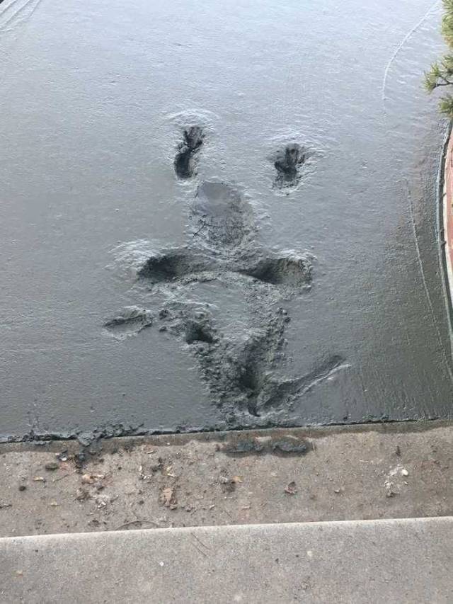 daily picdump 97 pics 41.html - 97 HD Photos | Premium Gallery 2018