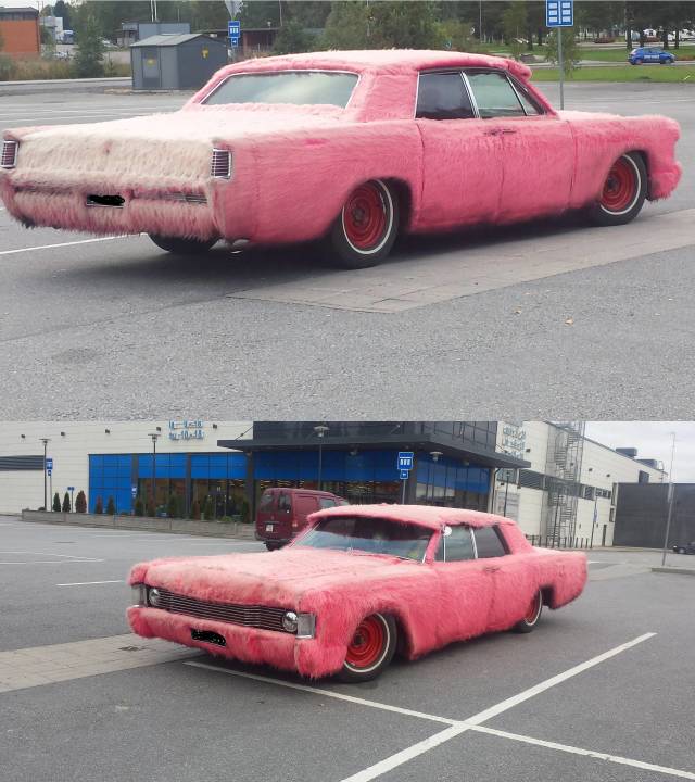 Daily Picdump [WEEKEND EDITION]