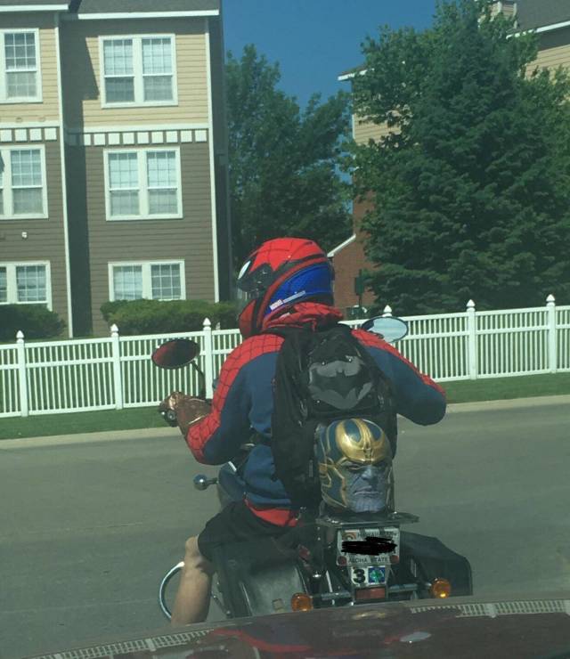 daily picdump weekend edition 51 pics 3.html - 51 HD Photos | Premium Gallery 2018