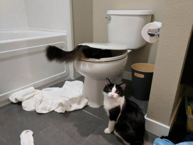 daily picdump 99 pics 16.html - 99 HD Photos | Premium Gallery 2018