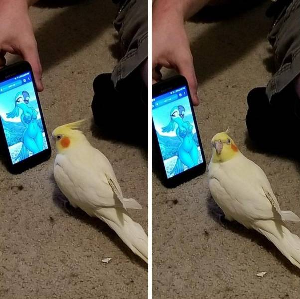 daily picdump 99 pics 16.html - 99 HD Photos | Premium Gallery 2018