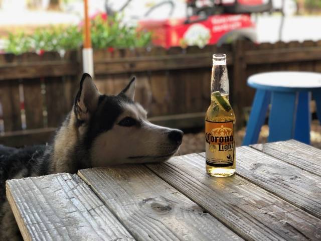 daily picdump 99 pics 16.html - 99 HD Photos | Premium Gallery 2018