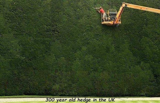 daily picdump 99 pics 16.html - 99 HD Photos | Premium Gallery 2018