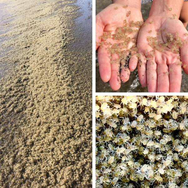 daily picdump 99 pics 16.html - 99 HD Photos | Premium Gallery 2018