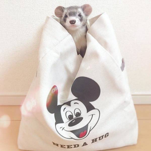 daily picdump 99 pics 16.html - 99 HD Photos | Premium Gallery 2018