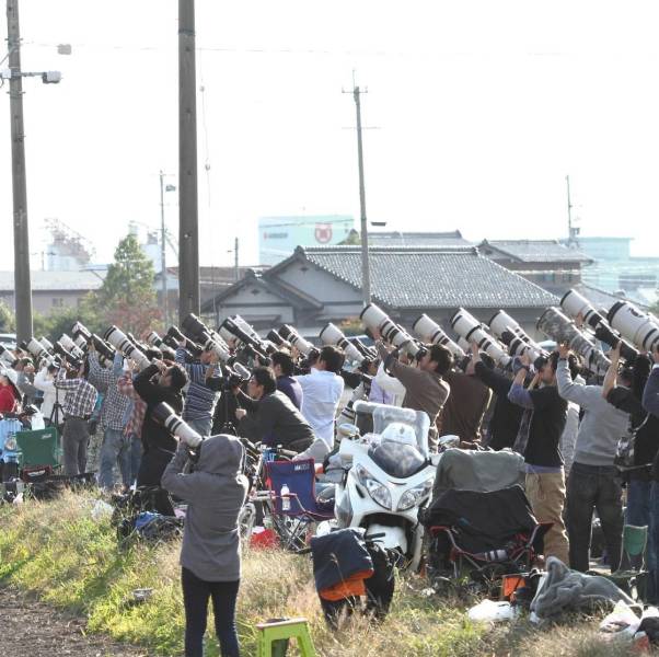 daily picdump 99 pics 16.html - 99 HD Photos | Premium Gallery 2018