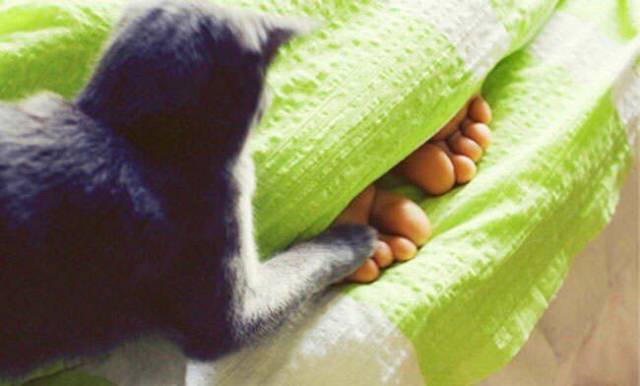 daily picdump 99 pics 16.html - 99 HD Photos | Premium Gallery 2018