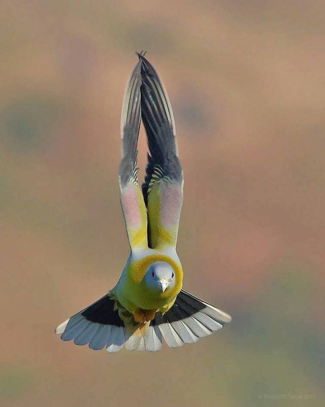 daily picdump 99 pics 16.html - 99 HD Photos | Premium Gallery 2018