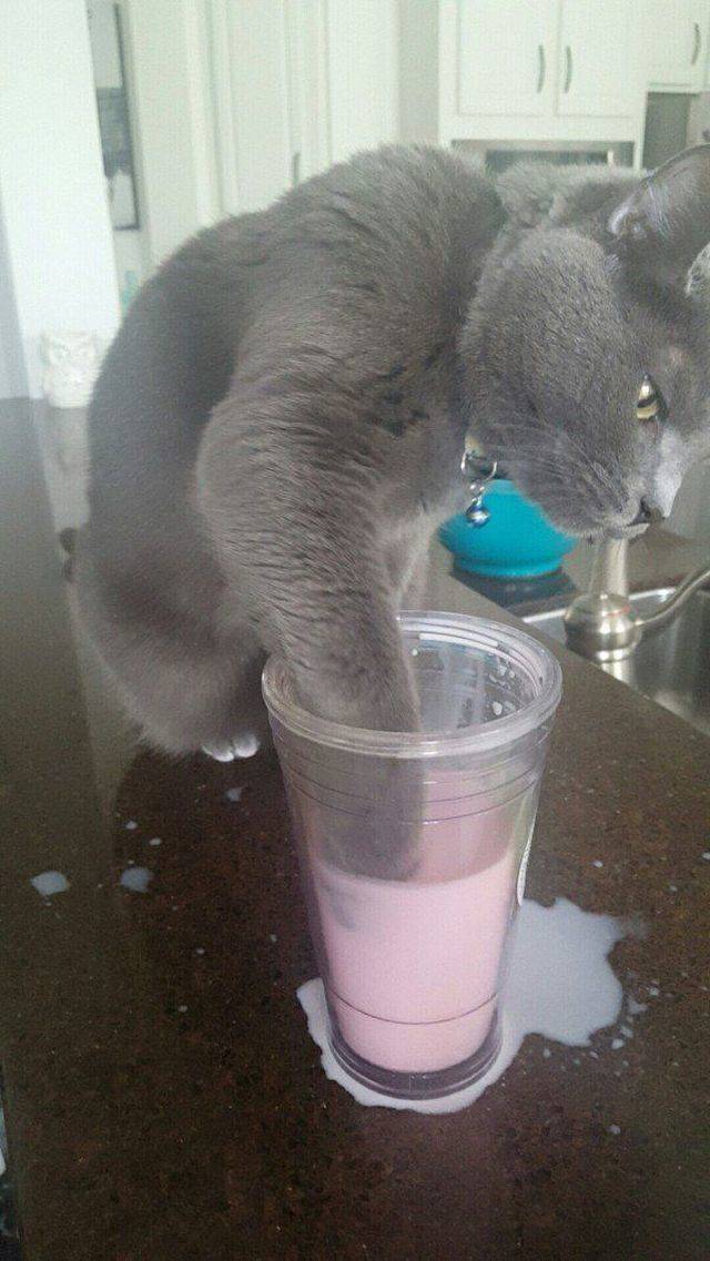 daily picdump 99 pics 16.html - 99 HD Photos | Premium Gallery 2018