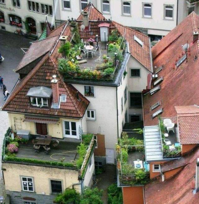 daily picdump 99 pics 16.html - 99 HD Photos | Premium Gallery 2018