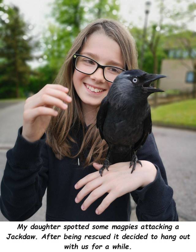 daily picdump 99 pics 16.html - 99 HD Photos | Premium Gallery 2018