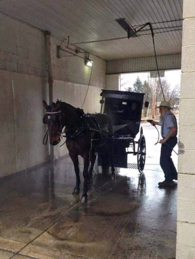 daily picdump 99 pics 16.html - 99 HD Photos | Premium Gallery 2018