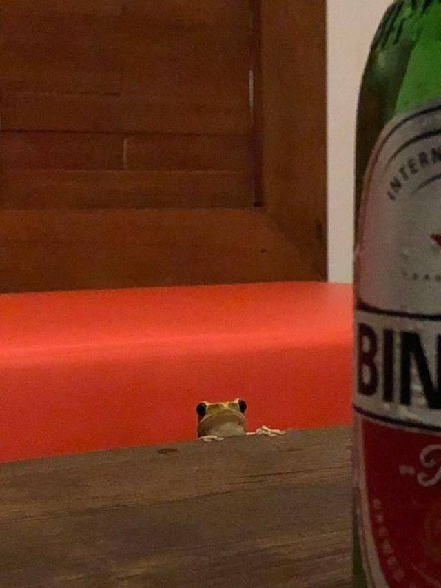 daily picdump 99 pics 16.html - 99 HD Photos | Premium Gallery 2018