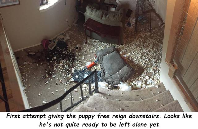 Sh*t Is All Around Us – It Happens