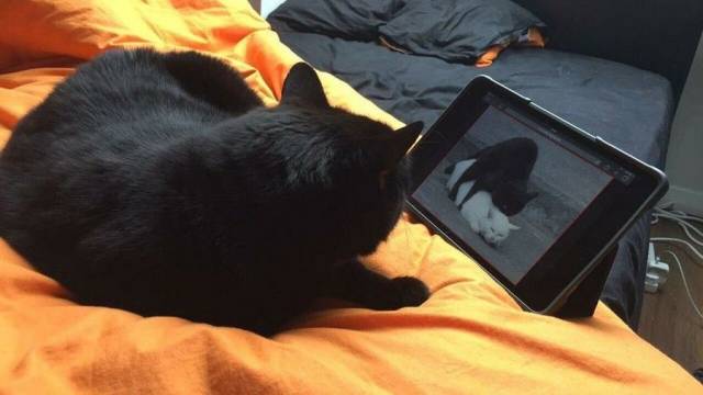 Daily Picdump