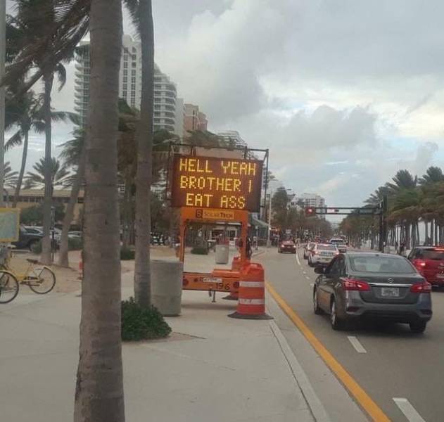 Daily Picdump