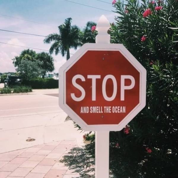 daily picdump 93 pics 2.html - 93 HD Photos | Premium Gallery 2018