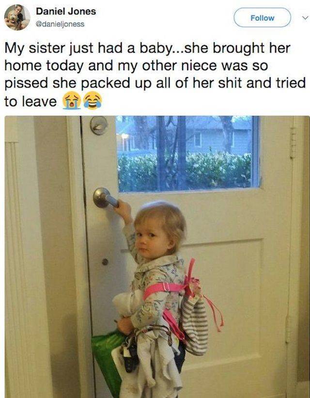 Daily Picdump