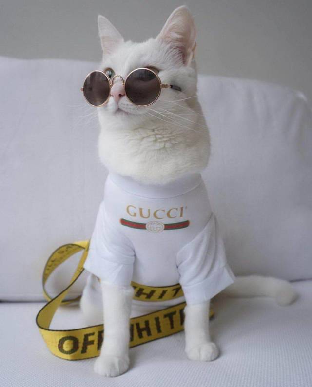 daily picdump 93 pics 2.html - 93 HD Photos | Premium Gallery 2018