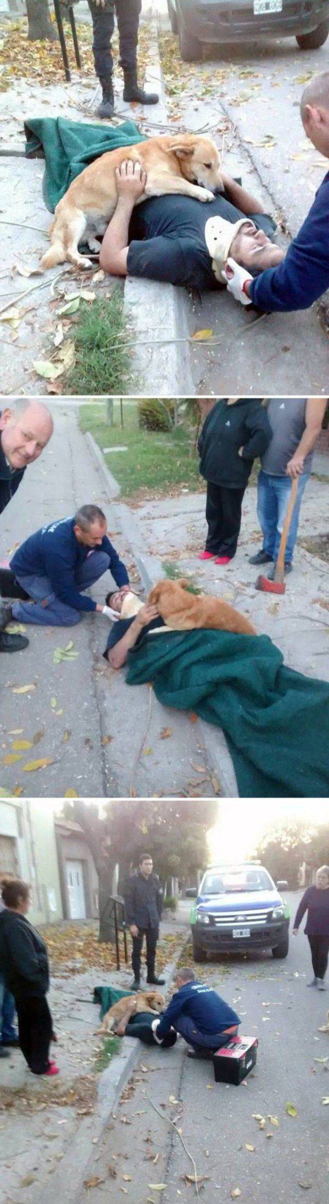 daily picdump 93 pics 2.html - 93 HD Photos | Premium Gallery 2018