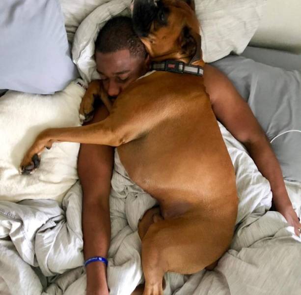 These Photos Don’t Contain What You See On Them