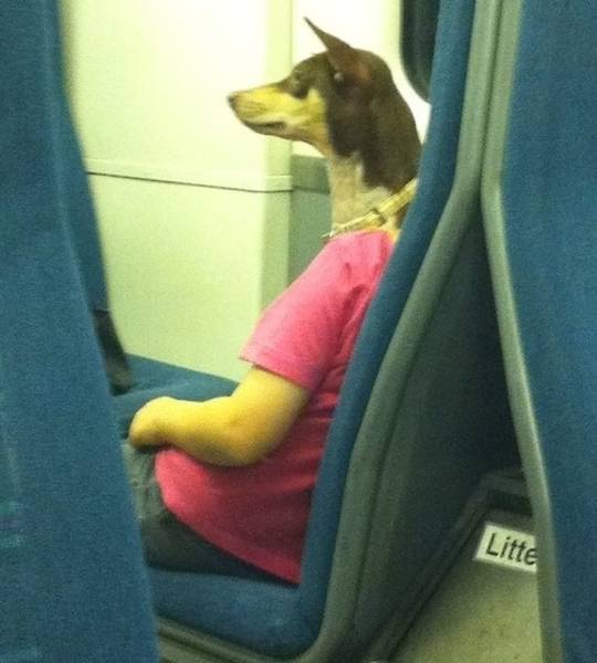 These Photos Don’t Contain What You See On Them