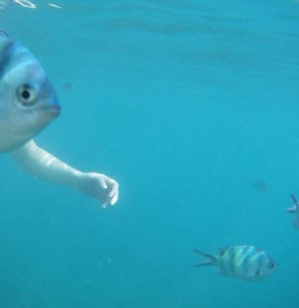 These Photos Don’t Contain What You See On Them