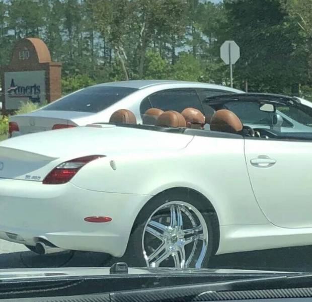 These Photos Don’t Contain What You See On Them