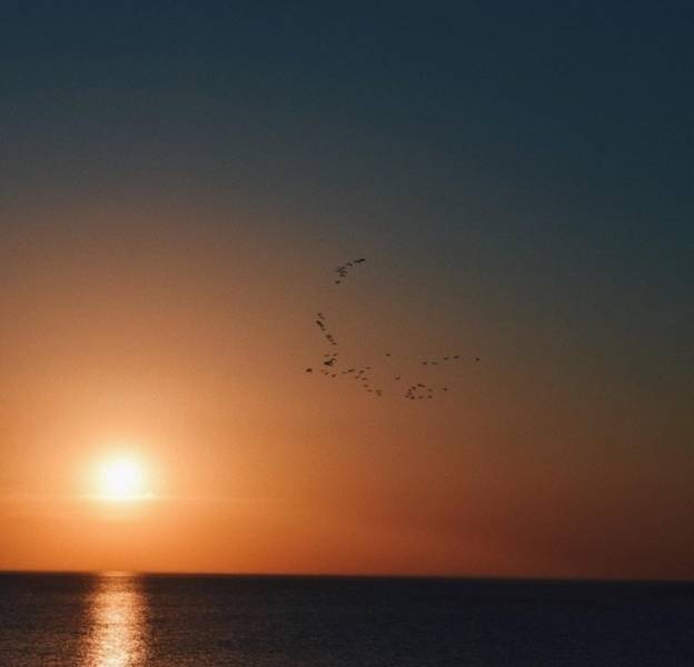 These Photos Don’t Contain What You See On Them