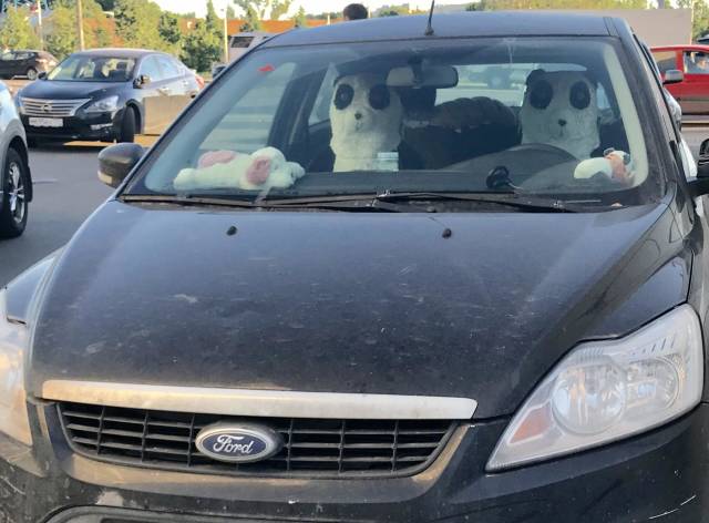 morning picdump 52 pics 9.html - 52 HD Photos | Premium Gallery 2018