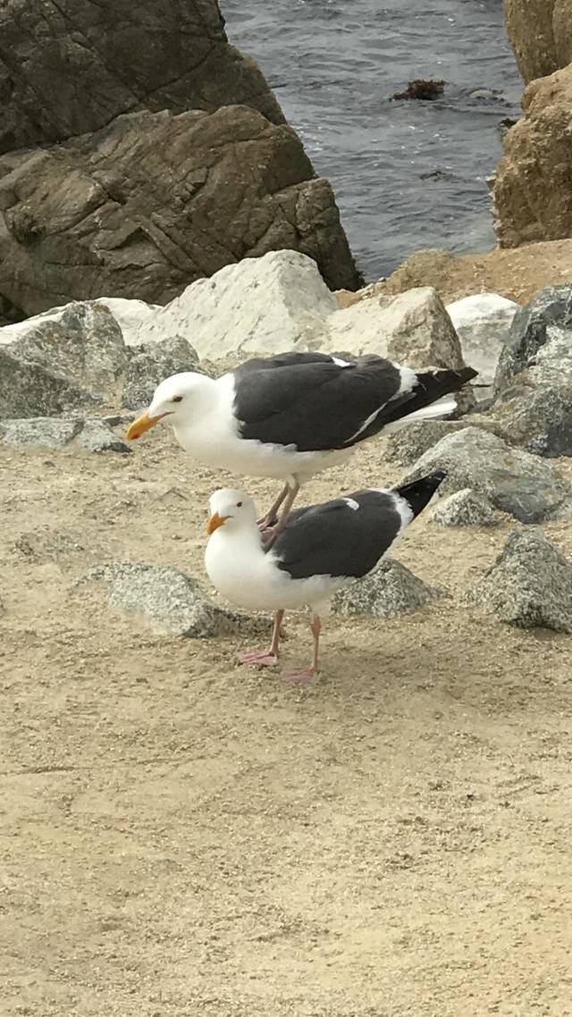 morning picdump 52 pics 9.html - 52 HD Photos | Premium Gallery 2018