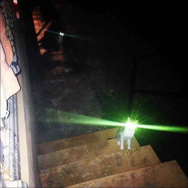 daily picdump 99 pics 31.html - 99 HD Photos | Premium Gallery 2018