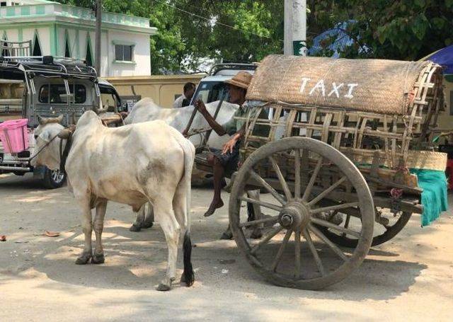 daily picdump 99 pics 31.html - 99 HD Photos | Premium Gallery 2018