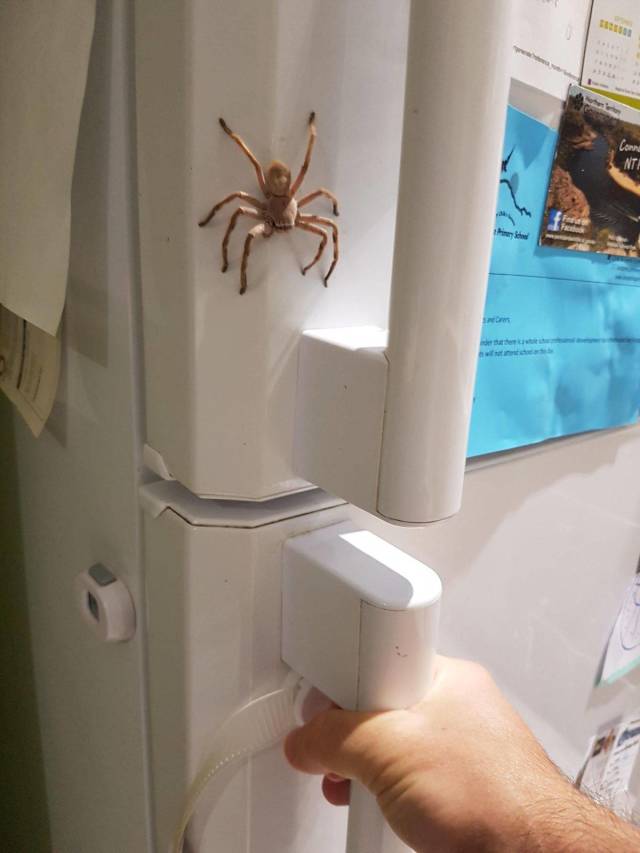 Daily Picdump