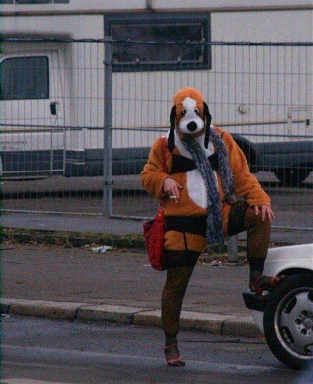Daily Picdump